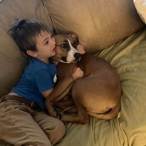 Meet your Posher, Brei